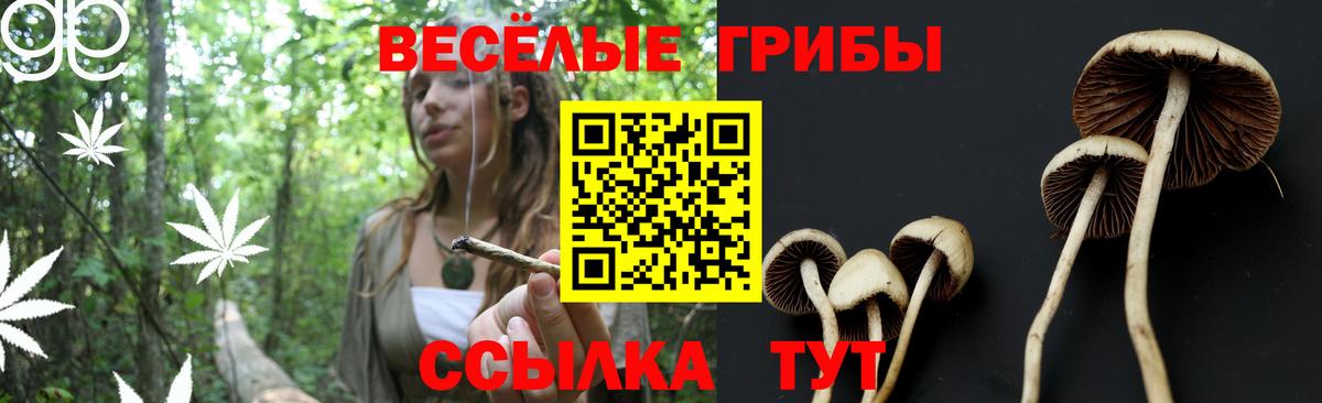 Псилоцибиновые грибы Magic Shrooms Зеленокумск